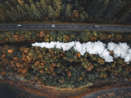 Téléchargez les photos : Un train à vapeur en Écosse qui traverse une forêt à l'automne - en image libre de droit
