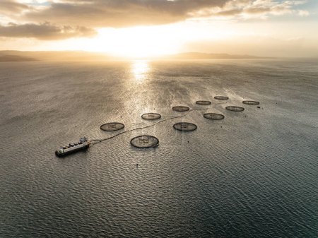 Photo for Sunset Aerial View of an Aquaculture Sea Farm - Royalty Free Image