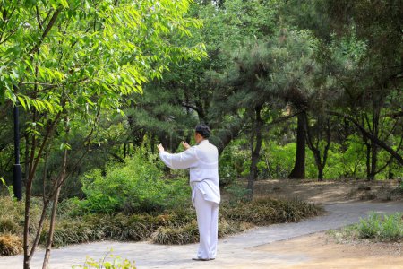 Photo for TANGSHAN - MAY 10: elderly practicing martial arts in a park on May 10, 2014, tangshan city, hebei province, China. - Royalty Free Image