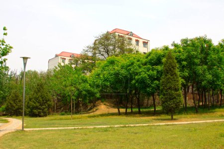 Téléchargez les photos : Green space and architecture in a park, Tangshan, Hebei Province, China - en image libre de droit