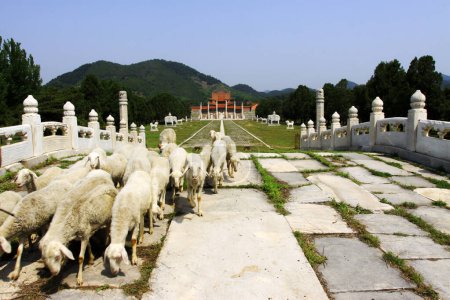 Foto de ZUNHUA MAY 18shepherd on the ancient China stone bridge landscape architecture, Eastern Tombs of the Qing Dynasty on may 18, 2014, Zunhua county, Hebei Province, China. - Imagen libre de derechos