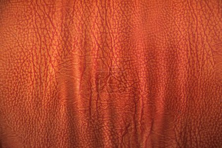 Photo for Leather texture close-up - Royalty Free Image