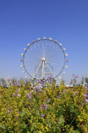Téléchargez les photos : Ferris roue dans le parc d'attractions - en image libre de droit
