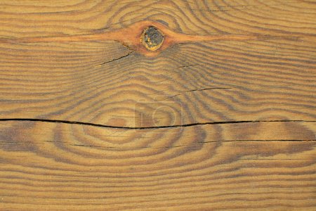 Téléchargez les photos : Gros plan sur la texture du bois - en image libre de droit