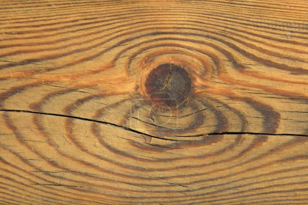Foto de Primer plano de la textura de madera - Imagen libre de derechos