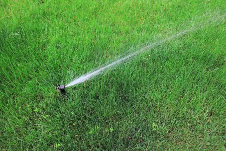Photo for Sprinkler irrigation facilities in the law - Royalty Free Image