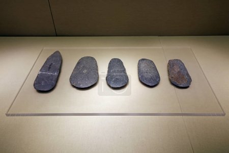 Téléchargez les photos : Anciens artefacts en pierre chinoise dans le hall d'exposition - en image libre de droit