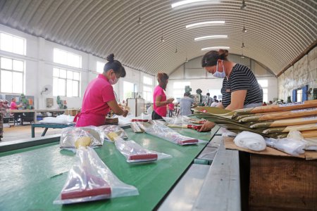 Téléchargez les photos : Comté de Luannan - 11 août 2017 : travailleuses occupées à emballer des pelles en acier dans une usine de fabrication à Luannan, Hebei, Chin - en image libre de droit