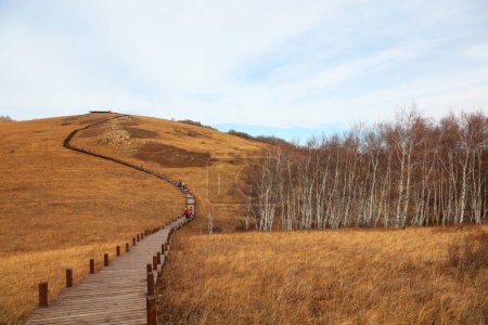 Foto de Wooden trestle in huanggangliang Park, Keshiketeng World Geopark, Inner Mongolia - Imagen libre de derechos