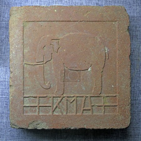 Photo for Elephants are carved on bricks, China - Royalty Free Image