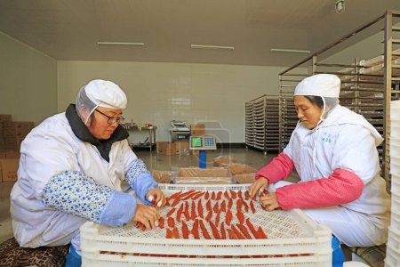 Téléchargez les photos : Comté de Luannan - 20 décembre 2017 : emballage féminin de pommes de terre séchées dans un atelier, comté de Luannan, province du Hebei, Chine - en image libre de droit