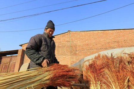 Foto de Luannan County - December 21, 2017: worker processing whisk broom raw materials in a hand workshop, Luannan County, Hebei Province, China. This is the most important traditional handicraft industry in the local area - Imagen libre de derechos