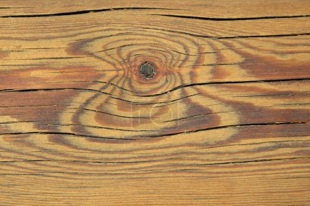 Photo for Close-up of Wood Texture - Royalty Free Image