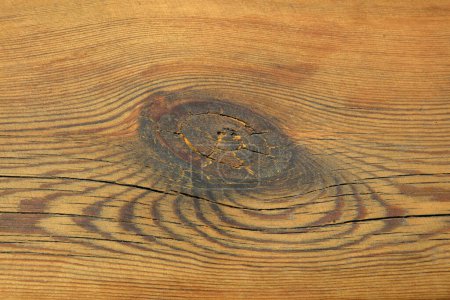 Téléchargez les photos : Gros plan sur la texture du bois - en image libre de droit