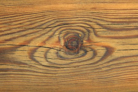 Foto de Primer plano de la textura de madera - Imagen libre de derechos