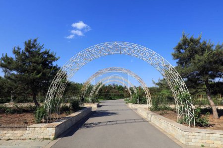 Téléchargez les photos : Jardin botanique Vie gros plan de la photo - en image libre de droit