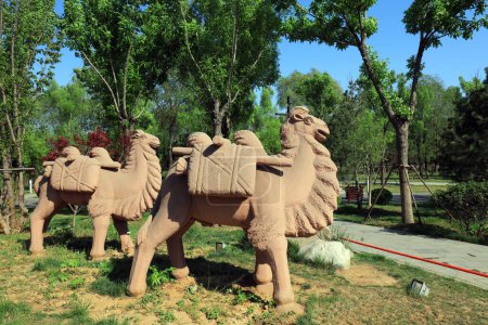 Téléchargez les photos : Sculpture de chameau dans un parc - en image libre de droit