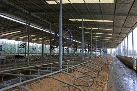 Foto de Estructura del marco de acero en granja lechera - Imagen libre de derechos