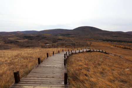 Téléchargez les photos : Wooden trestle in huanggangliang Park, Keshiketeng World Geopark, Inner Mongolia - en image libre de droit