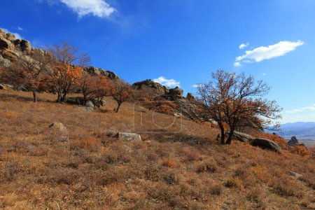 Téléchargez les photos : Paysage naturel du parc Qingshan à Keshiketeng Géoparc mondial, Mongolie intérieure - en image libre de droit