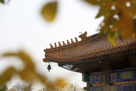 Téléchargez les photos : Architectural landscape of eaves of ancient temples in China - en image libre de droit