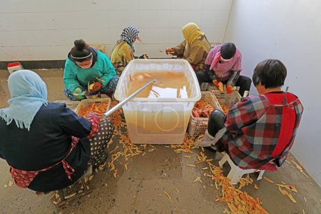 Photo for Luannan County - December 20, 2017: women workers clean sweet potatoes in a workshop, Luannan, Hebei, Chin - Royalty Free Image