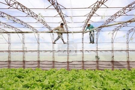 Foto de LUANNAN COUNTY, China - October 11, 2017: Farmers are strengthening their greenhouses, and the framework of their greenhouses is on a farm, LUANNAN COUNTY, Hebei Province, China - Imagen libre de derechos