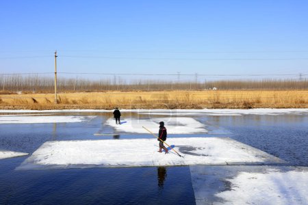 Téléchargez les photos : Comté de Luannan - 23 janvier 2018 : les agriculteurs utilisent des poteaux pour déplacer la glace dans les champs, Luannan, Hebei, Chin - en image libre de droit
