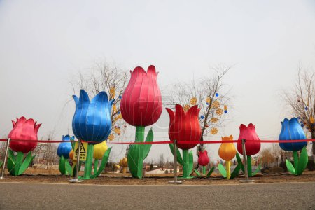 Foto de Linterna de la flor del tulipán - Imagen libre de derechos