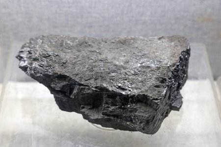 Téléchargez les photos : Fossiles de charbon sur fond blanc - en image libre de droit