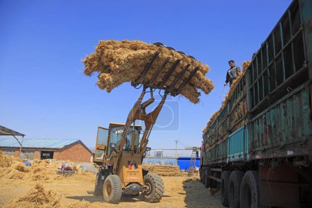 Téléchargez les photos : Comté de Luannan - 8 avril 2018 : les travailleurs expédient des produits de paille, comté de Luannan, province du Hebei, Chine - en image libre de droit