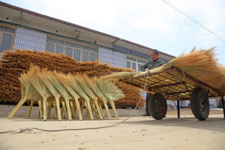 Téléchargez les photos : Comté de Luannan - 24 avril 2018 : travailleurs séchant à l'air libre des balais de l'atelier, comté de Luannan, province du Hebei, Chine - en image libre de droit