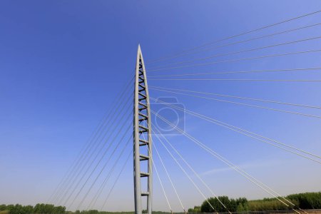 Photo for Construction landscape of steel beam cable-stayed cabl - Royalty Free Image