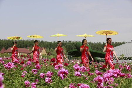 Foto de Condado de Luannan - 18 de mayo de 2018: las damas en cheongsam están en el jardín, Condado de Luannan, provincia de Hebei, Chin - Imagen libre de derechos