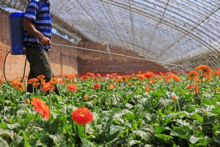 Téléchargez les photos : Agriculteur pulvérisation de pesticides dans le jardin - en image libre de droit