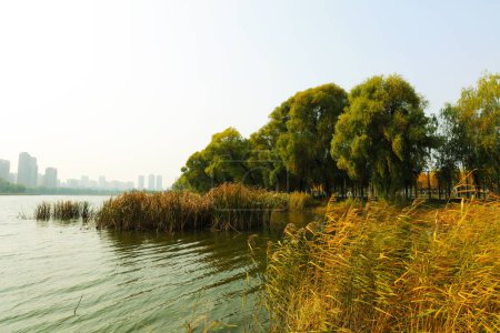 Téléchargez les photos : Rivières et arbres en automne - en image libre de droit