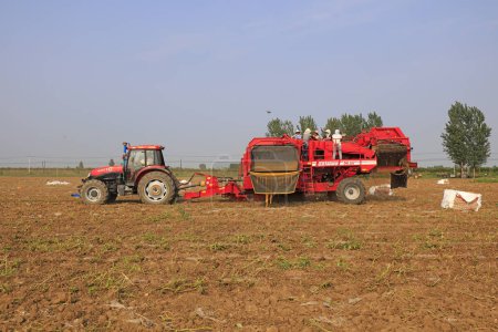 Foto de CONDADO DE LUANNAN, China - 4 de julio de 2018: los agricultores cosechan patatas en una granja, condado de LUANNAN, provincia de Hebei, China - Imagen libre de derechos