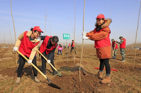 Foto de Condado de Luannan - 21 de marzo de 2018: jóvenes voluntarios están plantando árboles en los campos, Luannan, Hebei, Chin - Imagen libre de derechos
