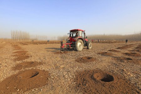 Photo for Luannan County - March 21, 2018: planting tree planting machine is working, in the field, Luannan County, Hebei Province, Chin - Royalty Free Image