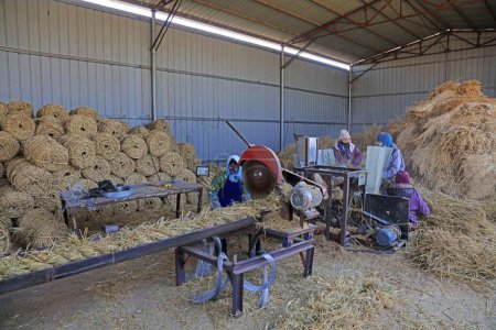 Téléchargez les photos : Comté de Luannan - 8 avril 2018 : les travailleurs transforment des produits de paille, comté de Luannan, province du Hebei, Chine - en image libre de droit