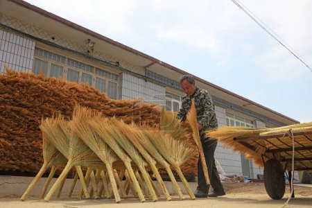Téléchargez les photos : Comté de Luannan - 24 avril 2018 : travailleurs séchant à l'air libre des balais de l'atelier, comté de Luannan, province du Hebei, Chine - en image libre de droit