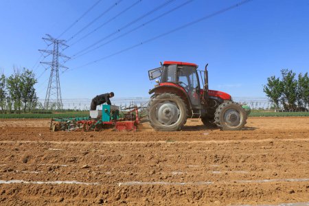 Photo for LUANNAN COUNTY, Hebei Province, China - May 5, 2019: Farmers drive seeders to grow mulched peanuts on the farm. - Royalty Free Image