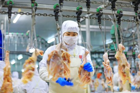 Foto de Condado de Luannan, China - 18 de junio de 2019: Los trabajadores están ocupados en la línea de procesamiento de pollos de engorde, Condado de Luannan, provincia de Hebei, China - Imagen libre de derechos