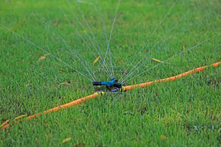 Téléchargez les photos : Installations d'irrigation par gicleurs dans la pelouse - en image libre de droit