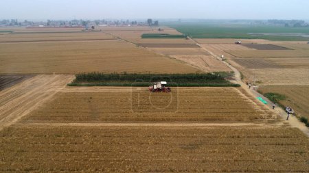 Photo for The harvester harvested wheat in the field, Luannan County, Hebei Province, China - Royalty Free Image