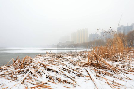 Téléchargez les photos : Paysage naturel des rivières en hiver, Chine du Nord - en image libre de droit