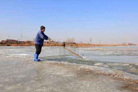 Photo for LUANNAN COUNTY, Hebei Province, China - January 14, 2020: Farmers use long poles to support sliding ice in the field. - Royalty Free Image
