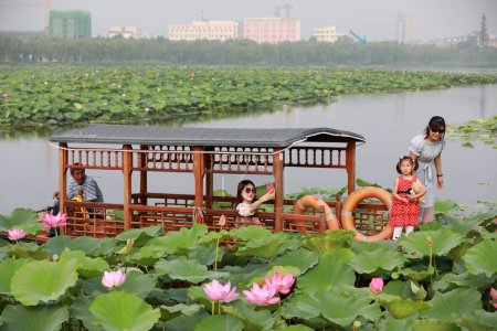 Téléchargez les photos : Comté de Luannan, Chine - 15 juillet 2019 : Les touristes photographient des fleurs de lotus sur un bateau de croisière, comté de Luannan, province du Hebei, Chine - en image libre de droit