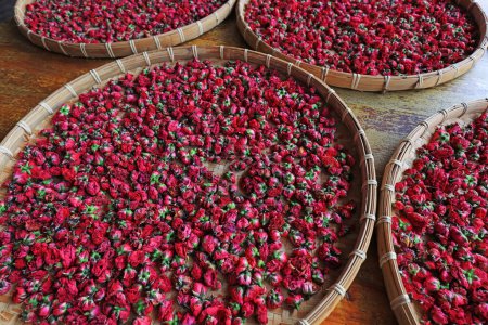Téléchargez les photos : Les roses séchées sont dans le panier, dans une usine de transformation de roses, Sanya, Chine du Sud - en image libre de droit