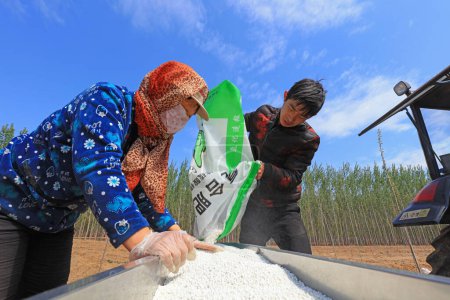 Foto de CONDADO DE LUANNAN, provincia de Hebei, China - 25 de abril de 2019: Los agricultores agregan semillas de fertilizante a la sembradora y plantan cacahuetes. - Imagen libre de derechos